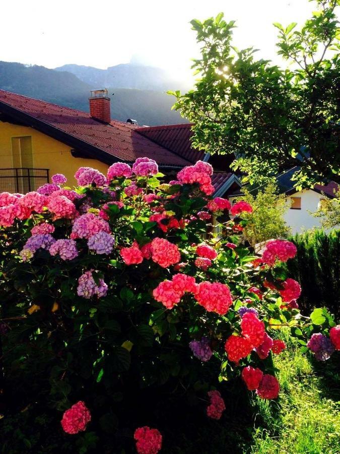 Cosy Cottage With Views Near Kobarid Exteriör bild